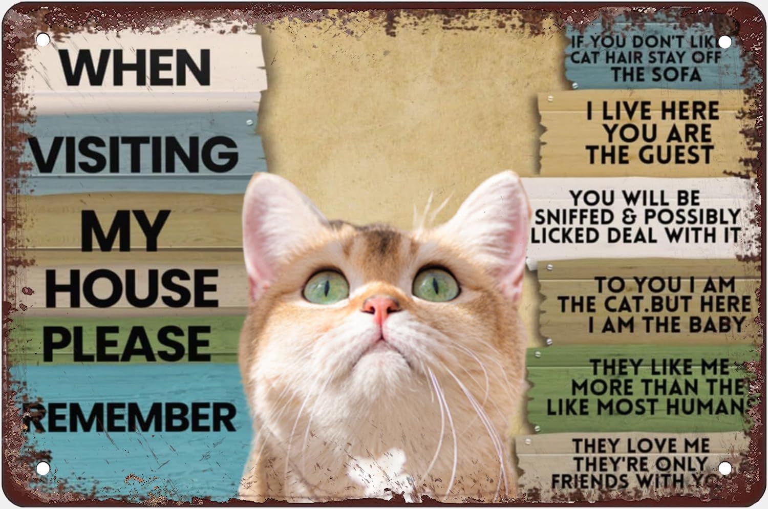 Cat When Visiting My House Ple - Bathroom Home Visit review and price