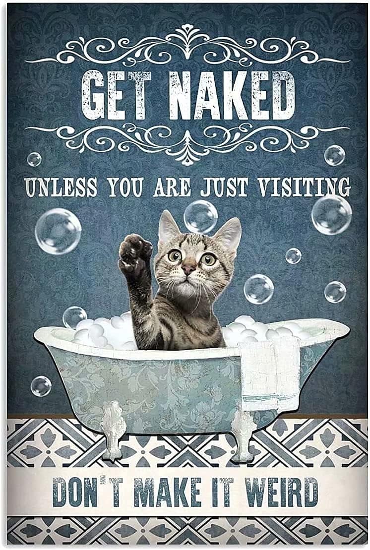 Kitten Bathroom Metal Tin Sign - Bathroom Home Visit review and price