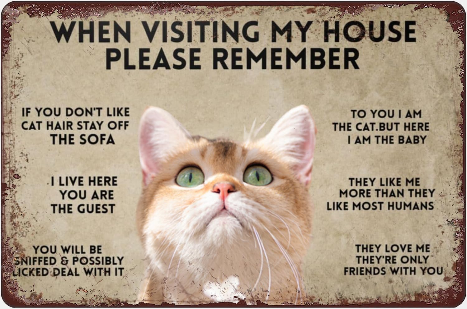 When Visiting My House Please  - Bathroom Home Visit review and price